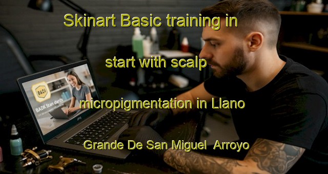 Skinart Basic training in start with scalp micropigmentation in Llano Grande De San Miguel  Arroyo Del Muerto area | SmpTraining | SmpClasses | SkinartTraining-Mexico